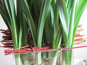 Grid for Stems