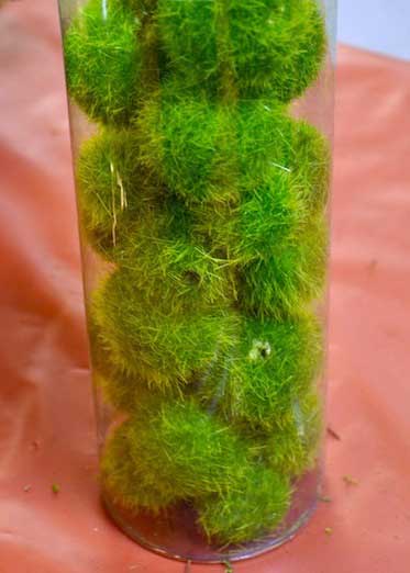 Mossy spheres