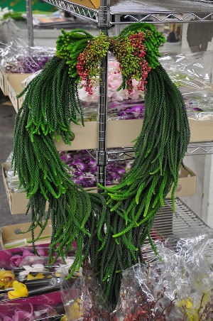 Norfolk Pine Wreath