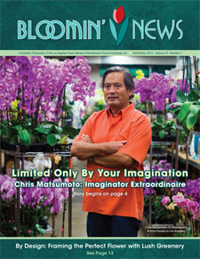 bloomin news