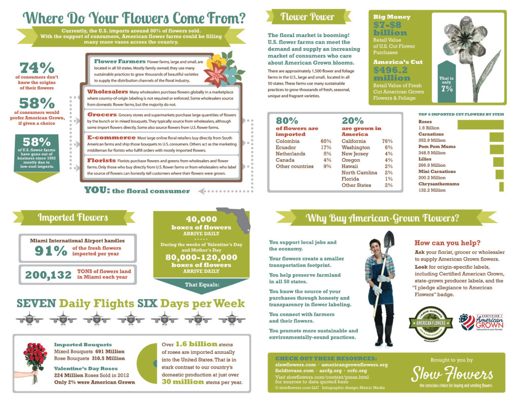 Slow Flowers Infographic