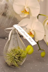 Place Card Holder by Flower Duet