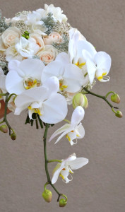 flowerduet-orchid-bouquet