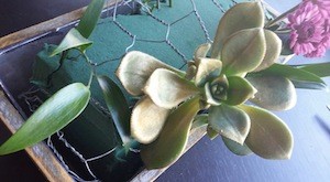 chicken wire on foam
