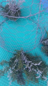 Chicken Wire topiary