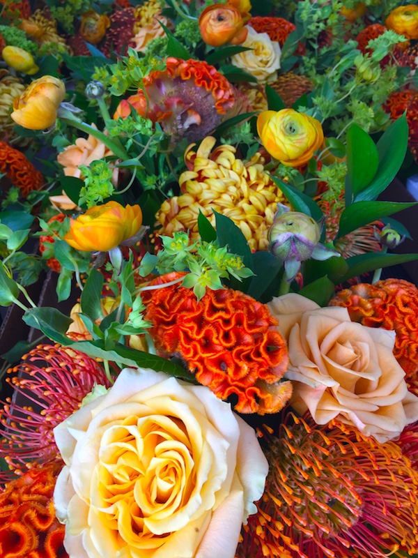 Protea and Celosia