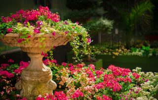 Garden Show