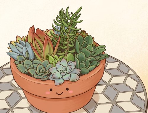 Succulents