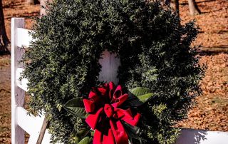Boxwood wreath