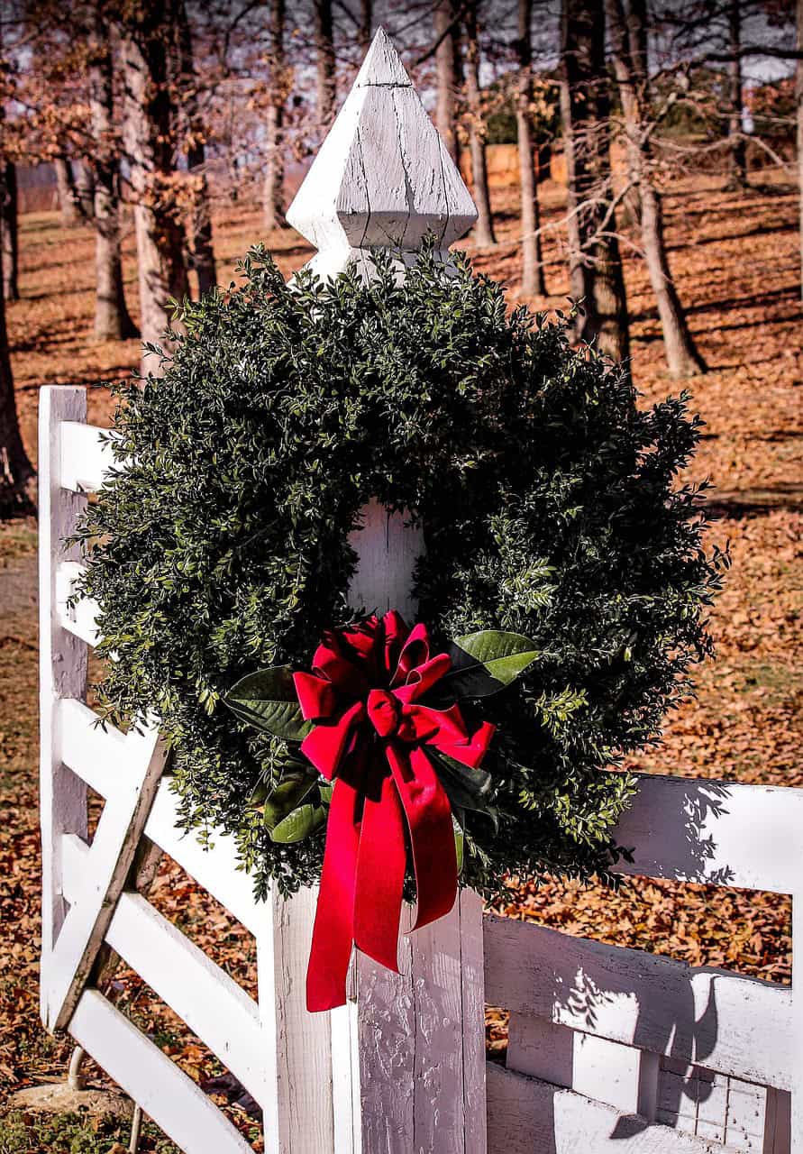 Boxwood wreath