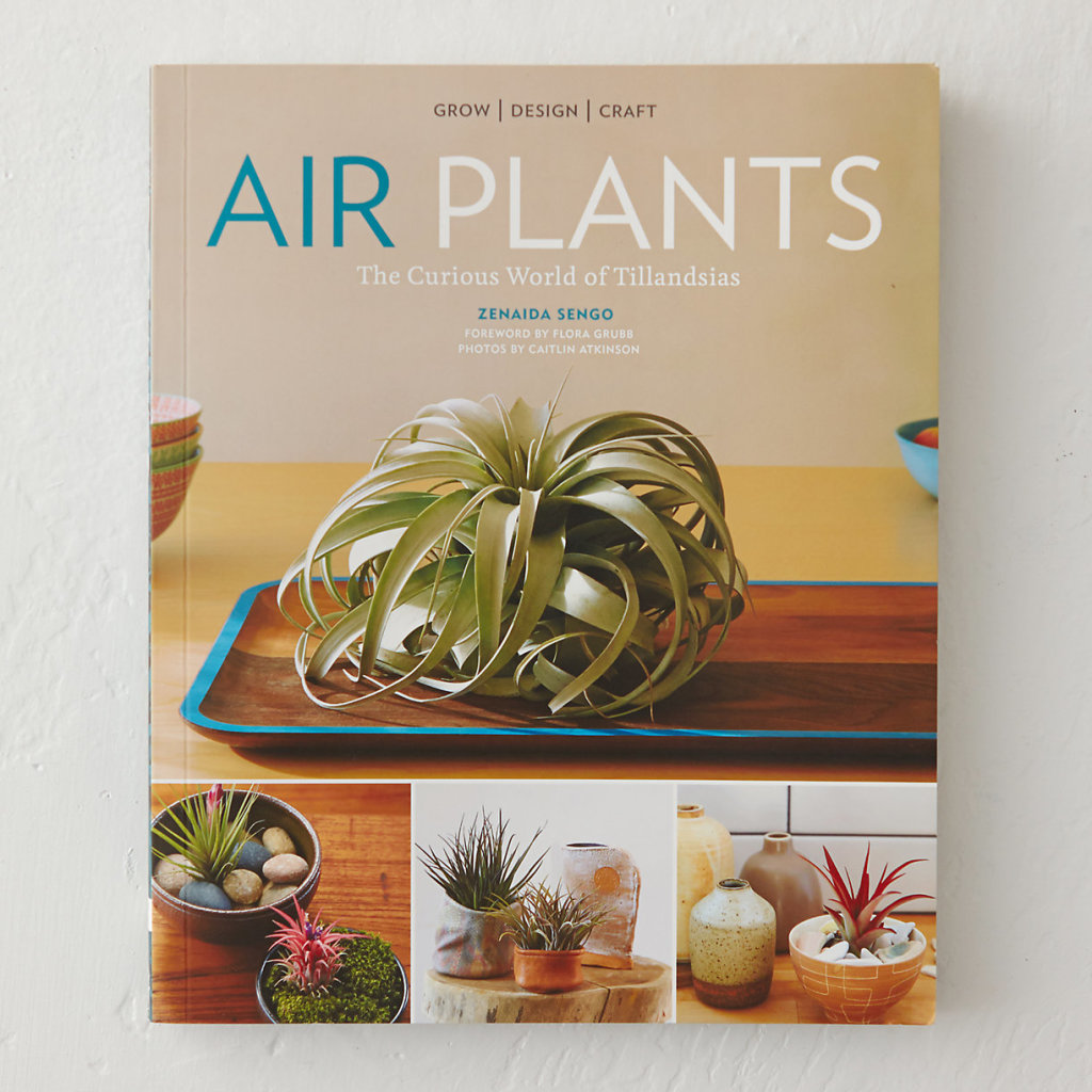 Gift Idea for Flower Lovers: Air Plants Book