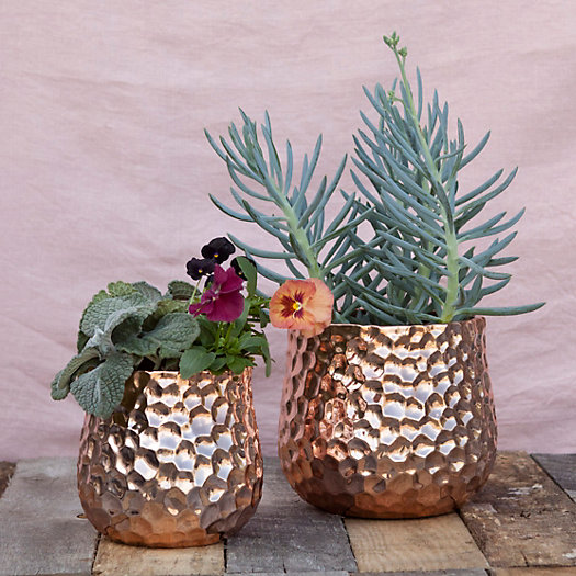 Gift Idea for Flower Lovers: Hammered copper pots