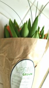 Yes...tulips grow in Virginia!