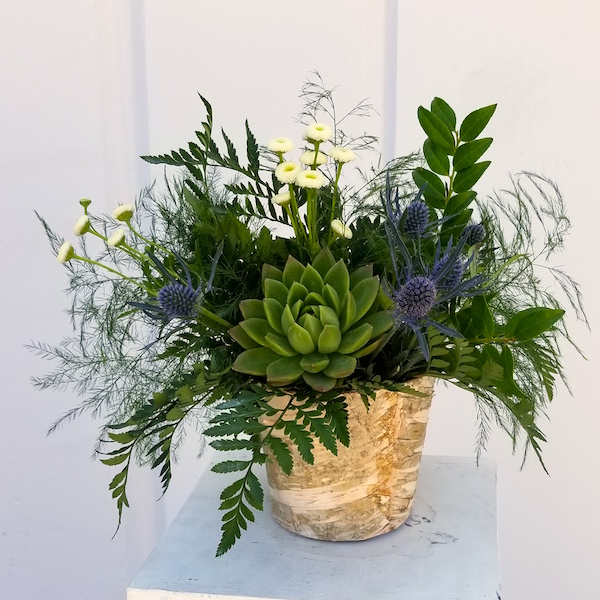 Succulent centerpieces by Flower Duet