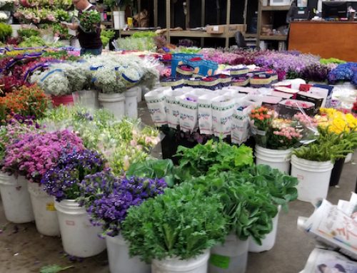 Flower Market Re-Opens for Mother’s Day! We are Taking Orders!