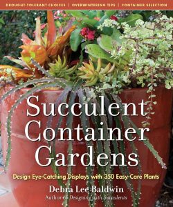 Succulent Containers Books