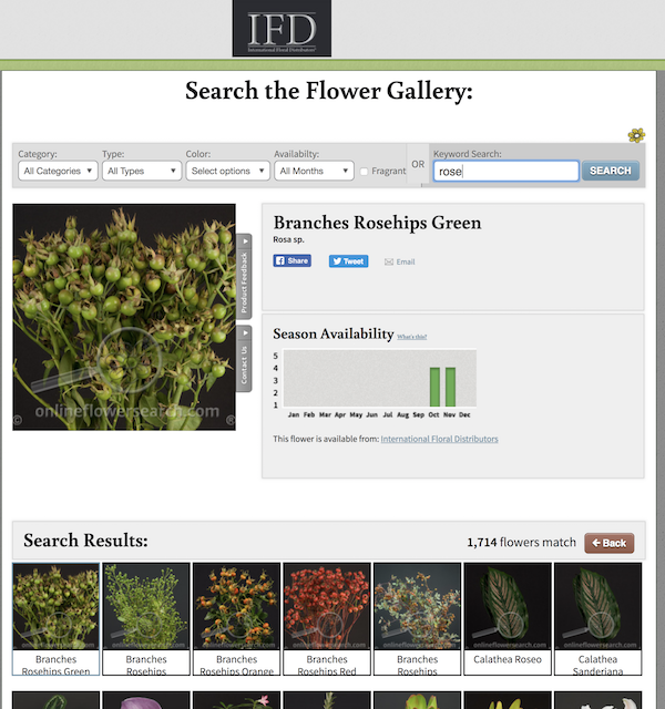 IFD Online Flower Gallery