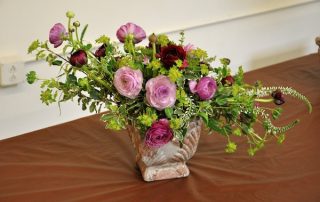Purple Ranunculus