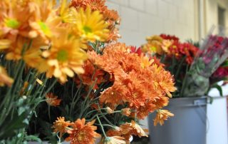 FALL FLOWERS