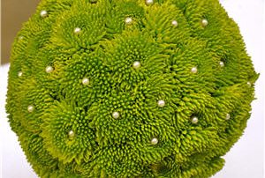 Green Flowers