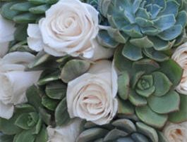 Succulent BOuquet