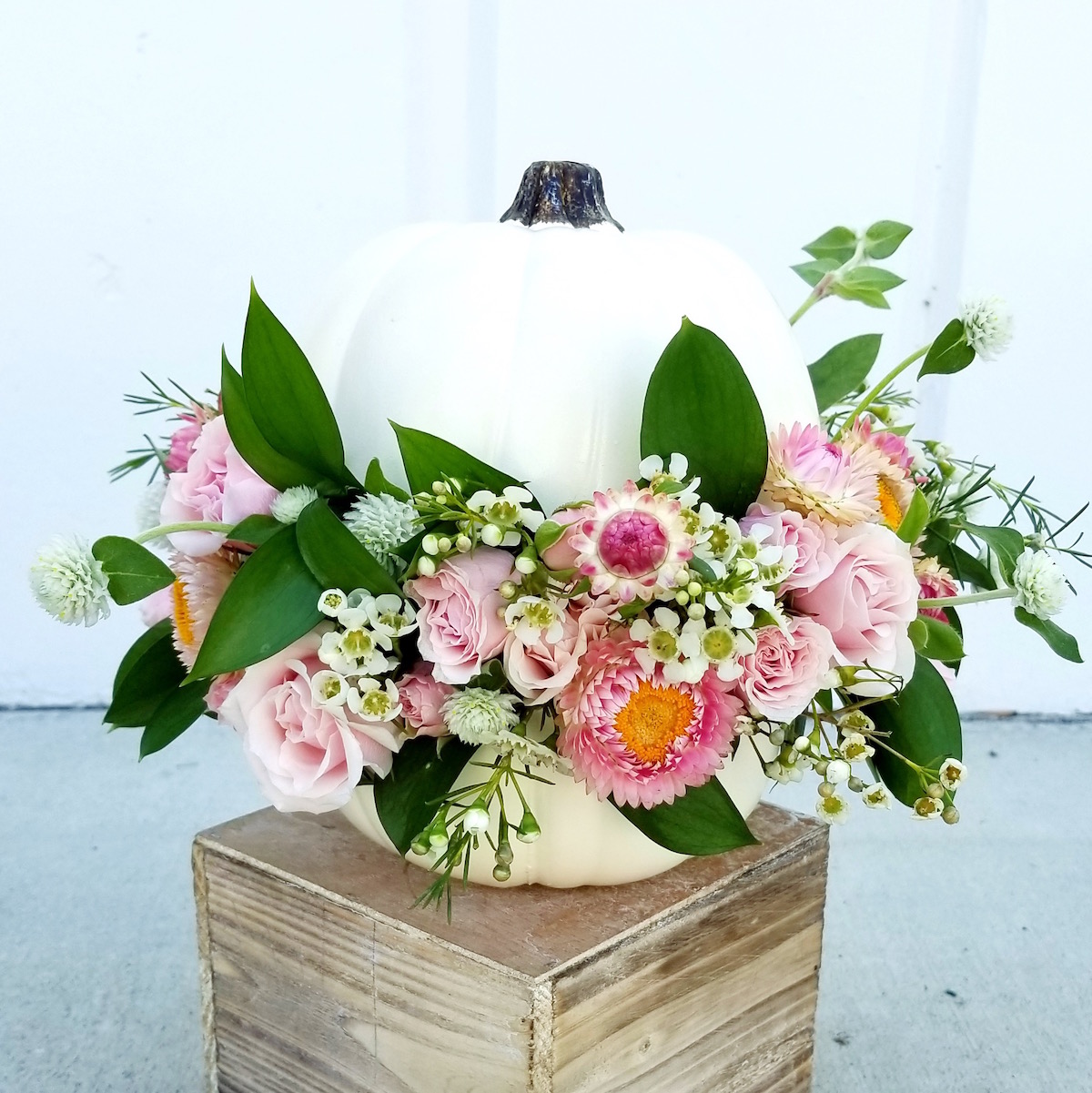 flowerduet_pink_pumpkin