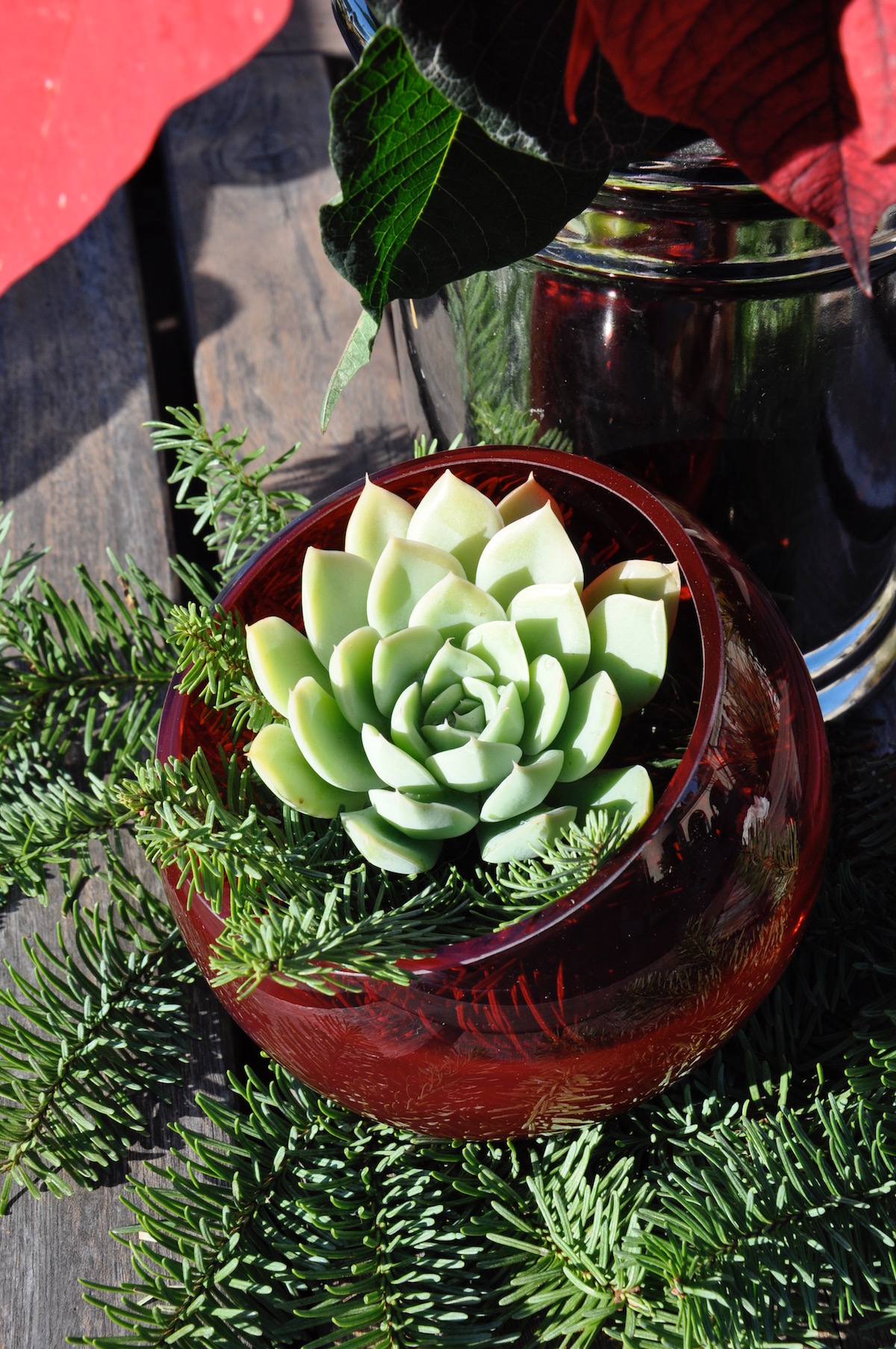 flowerduet_succulent_christmas_terrarium