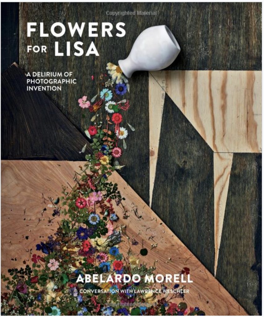 Flowers For Lisa Book Cover