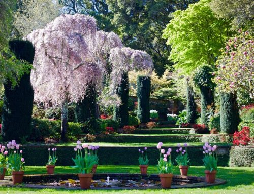 SLOW FLOWERS SUMMIT 2020 :: San Francisco at Filoli
