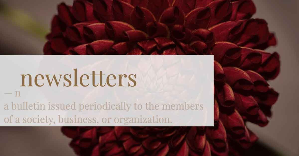 Newsletter Dahlia