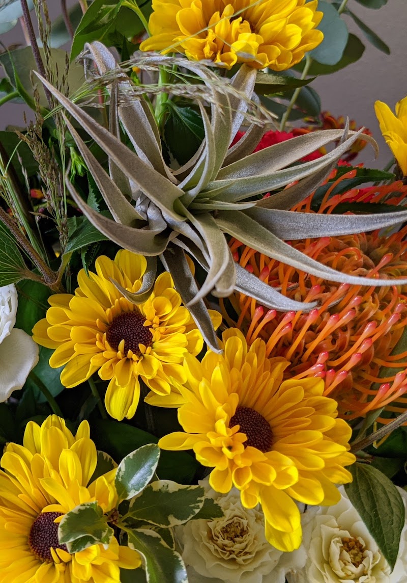 outerspace Outerspace Flowers