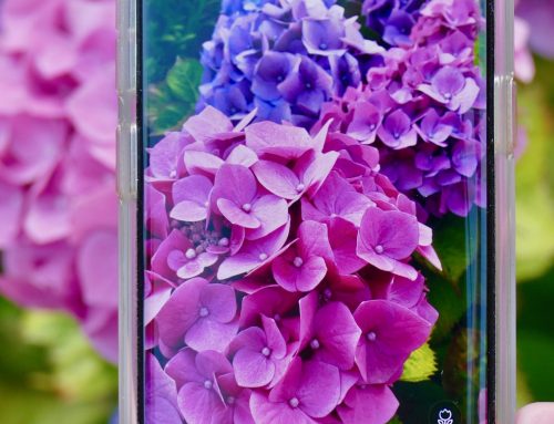 Free Online Flower Course March&nbsp;2021