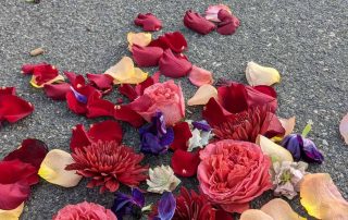 Asphalt and flowers