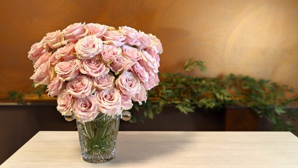Queen Elizabeth II Roses