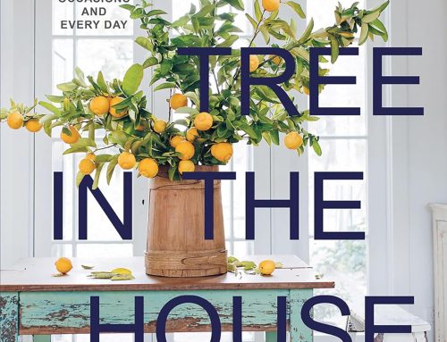 Book Recommendation: A Tree in the&nbsp;House