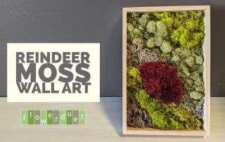 Reindeer Moss Art Frame