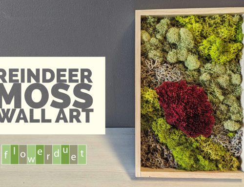 How to Make a Mini Moss Wall Art Piece perfect for Holiday Gift Giving