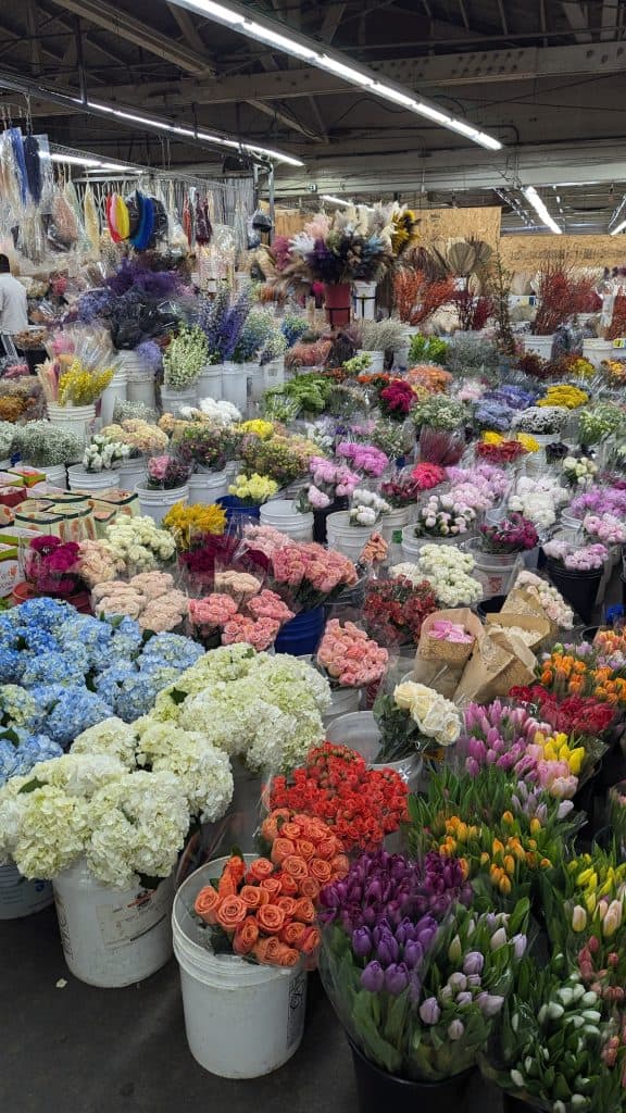 Fresh Flowers