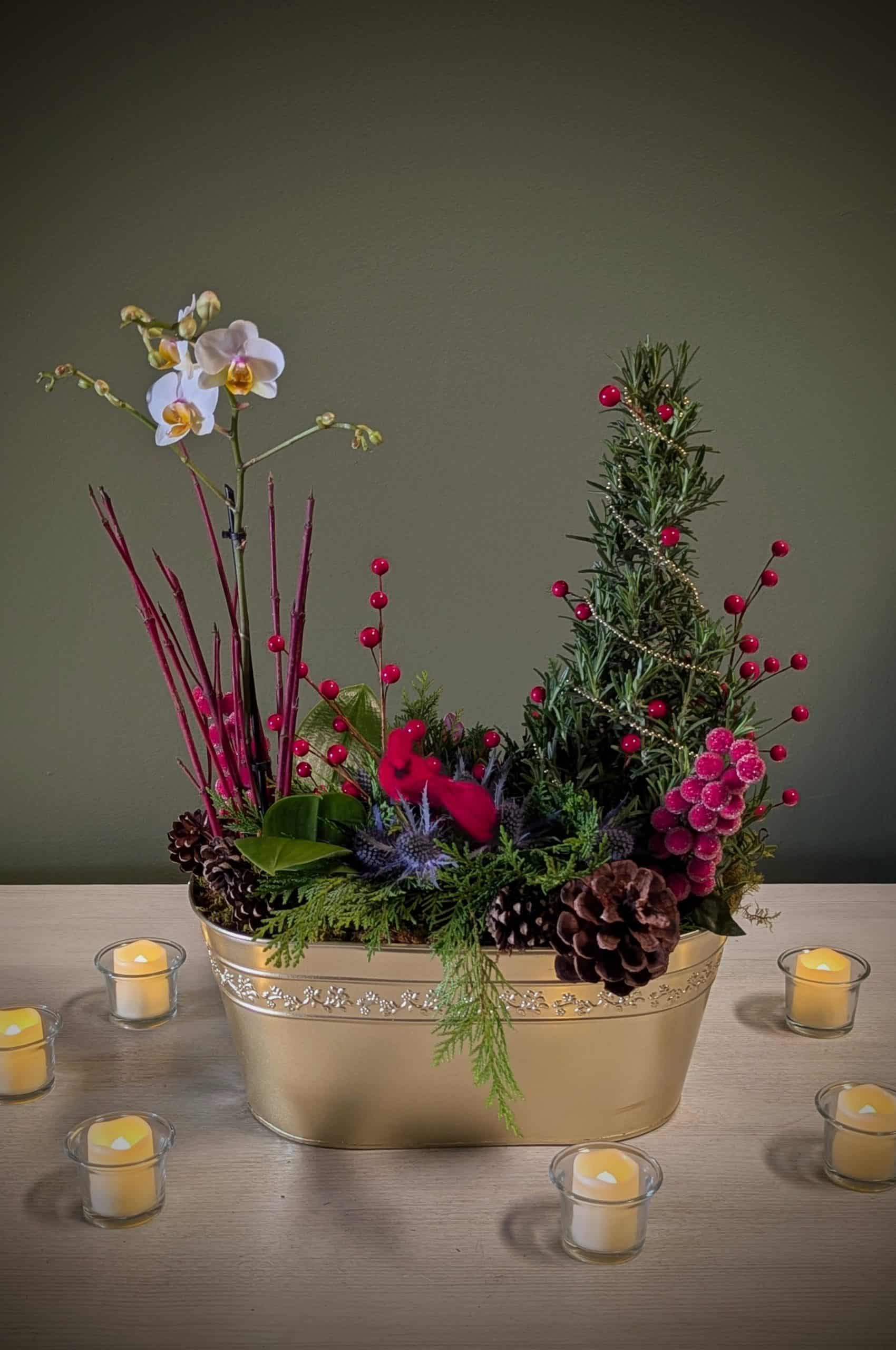 Holiday Pot Et Fleur Holiday Pot Et Fleur