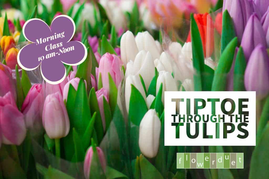 Tulips Class