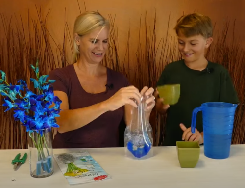 All in our Family: Flower Duet, Trio, & More Help Arrange, Deliver and Flip Flowers