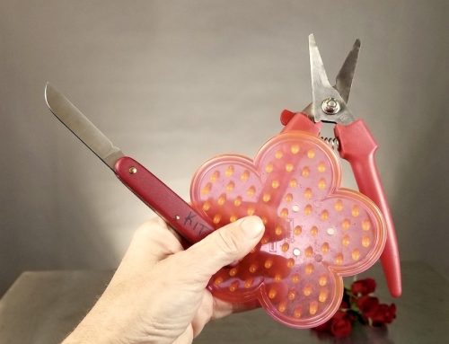 Our favorite floral cutters