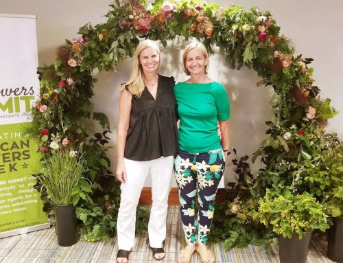 Why I Think You Should Attend the Online Worldwide Slow Flowers Summit in January of&nbsp;2026