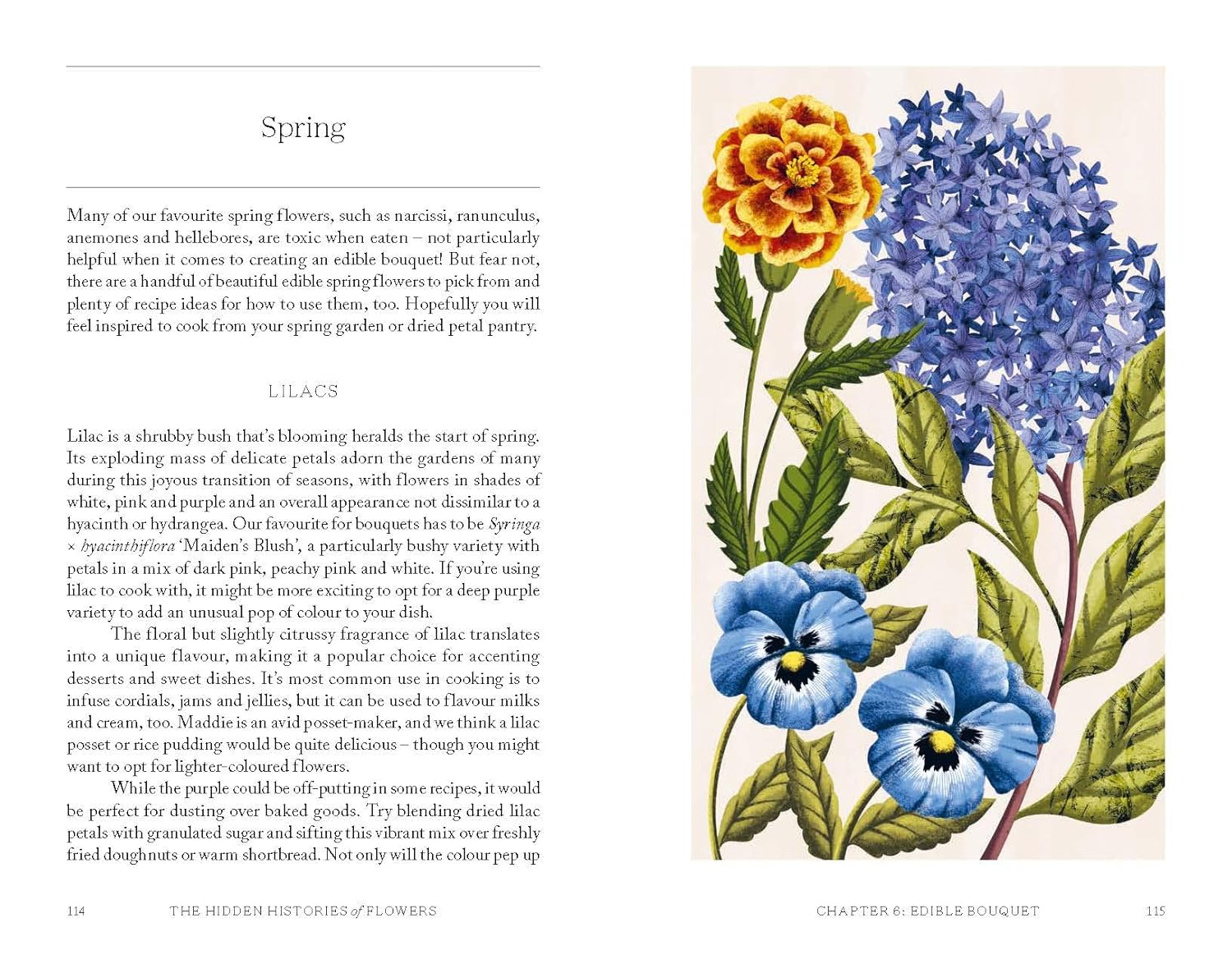 Spring Flowers