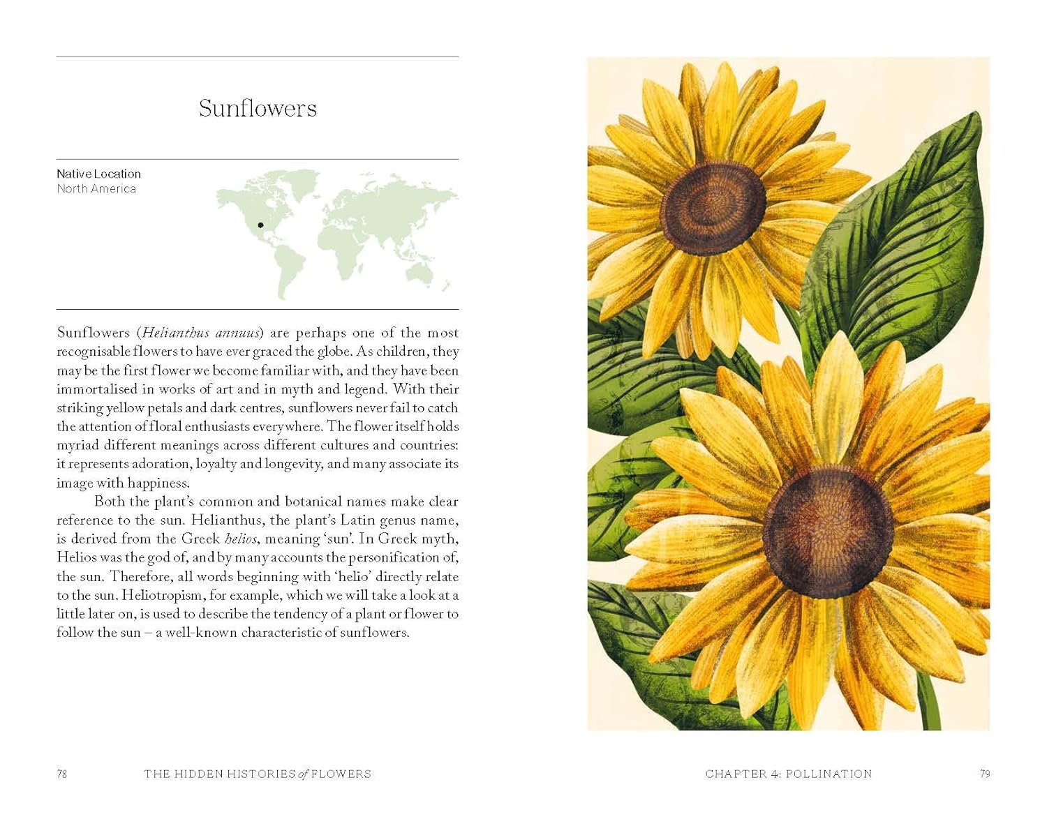Sunflowers_hidden_flowers