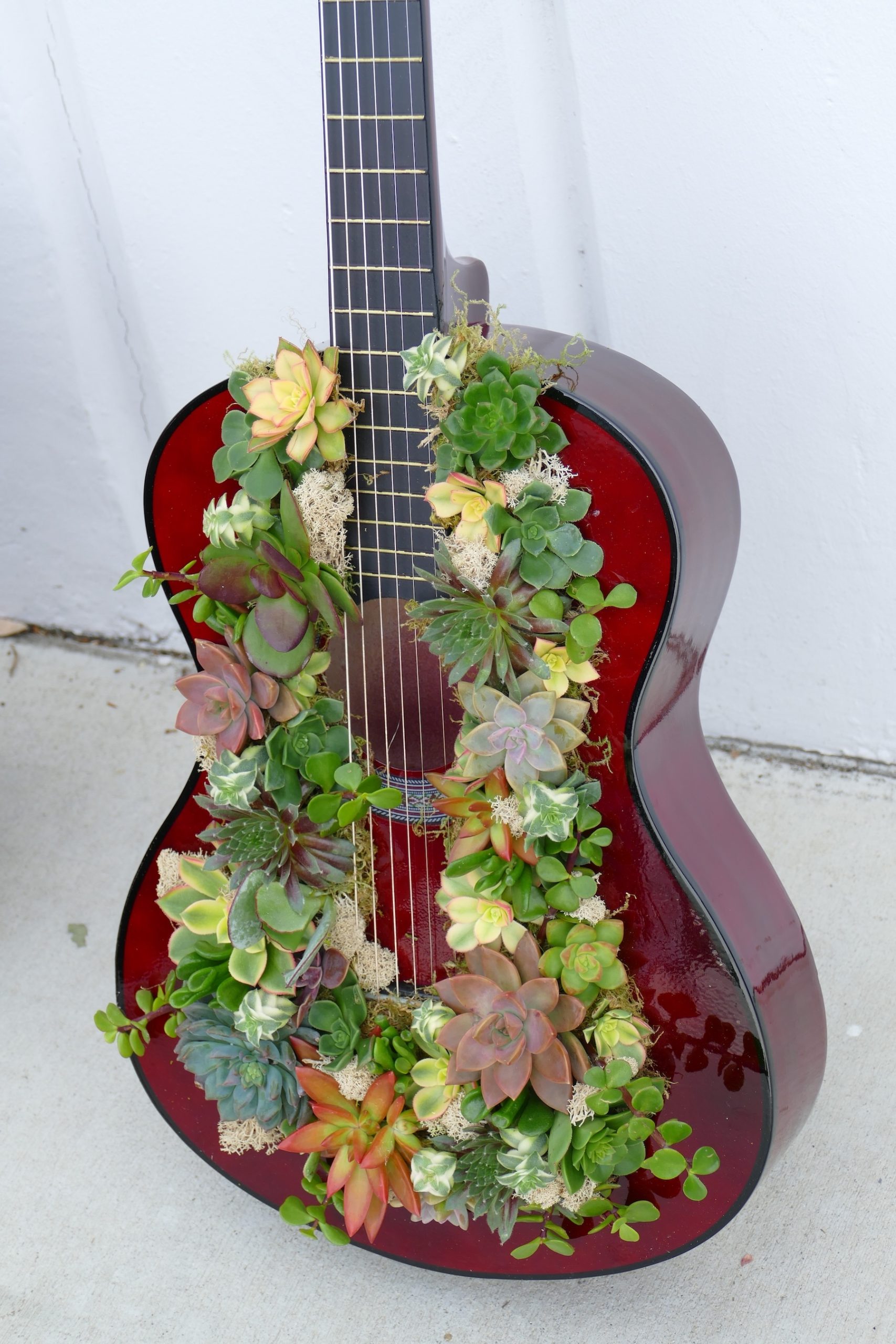 Succulent Guitars by Flower Duet for Lady Gaga