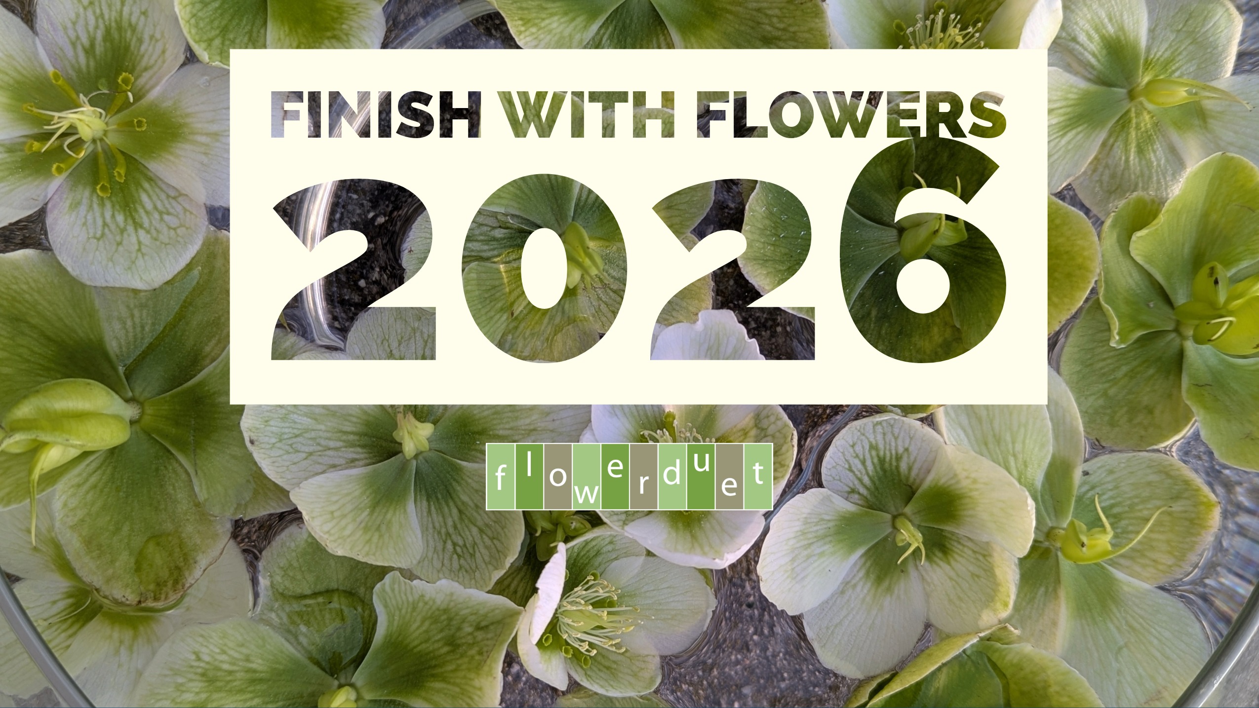 2026 flower classes