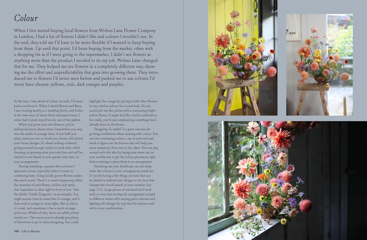 Life in Bloom Book Colour Excerpt 
