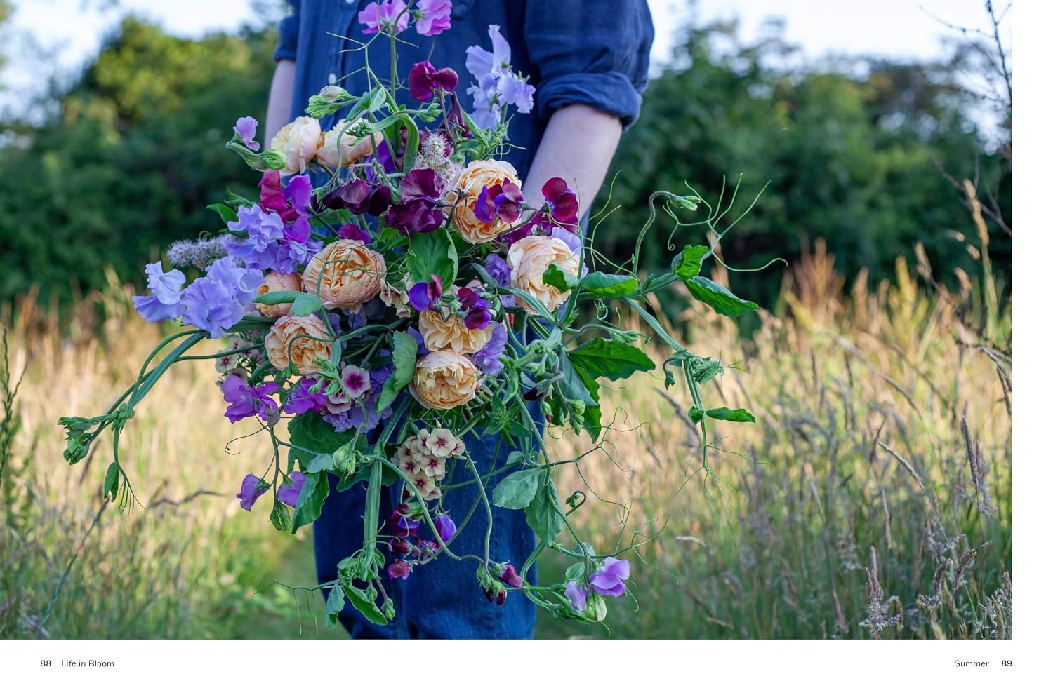 Life in Bloom Book Field Excerpt