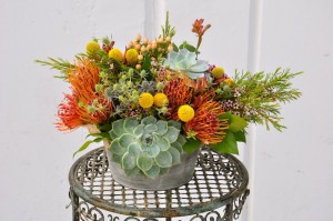 flowerduet-succulent-centerpiece 